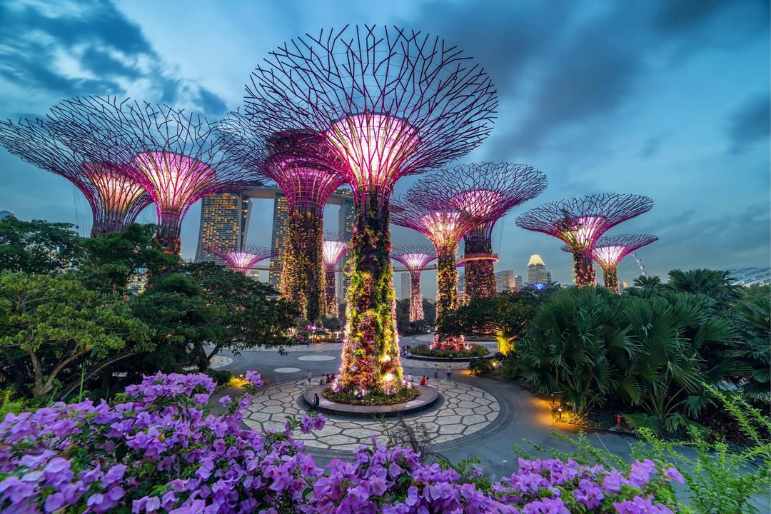 A Journey Through Wonder: Exploring Gardens by the Bay, Singapore