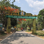 An Epic Road Trip from Ooty to Bangalore via Mudumalai and Bandipur Forest